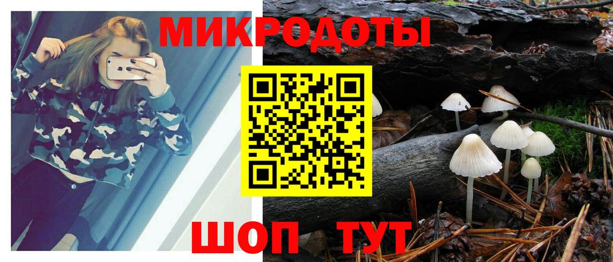 Псилоцибиновые грибы Cubensis  Вход с VPN  Полевской 