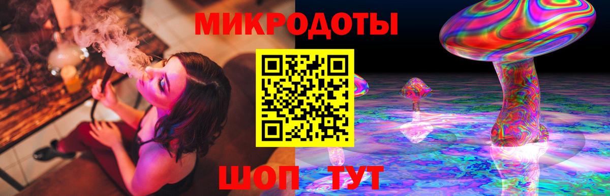 Галлюциногенные грибы Psilocybine cubensis Полевской
